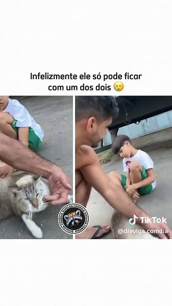 escolha difícil #divulgacomedia #gato #gatinho #pedro #escolha