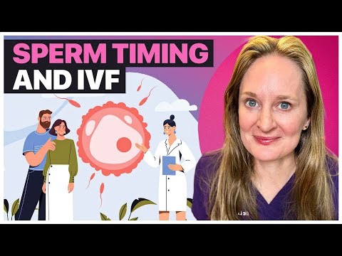 Timing of Sperm Collection and IVF Success: What the Science Says