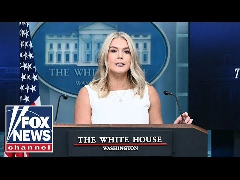 Trump speaks at White House briefing about Minnesota chaos