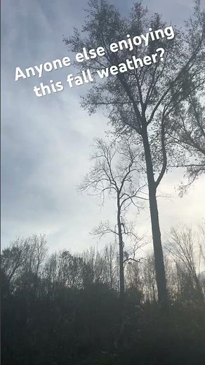 #fallweather