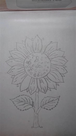 Sample Flower 💐 Drawing 😯✏️