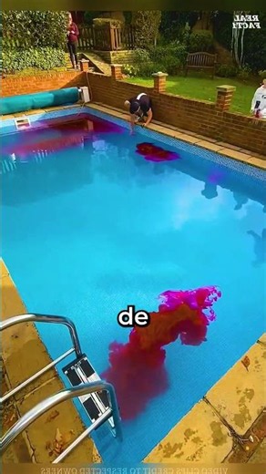 LIMPIARON LA PISCINA