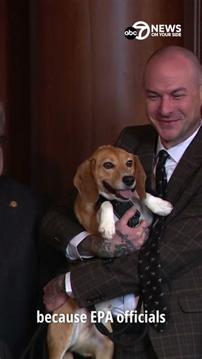 Historic move by EPA to end animal testing by 2035