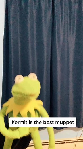 Lol 😂, 🐸 vs 👹 vs 🐷... who’s your favorite muppet ?