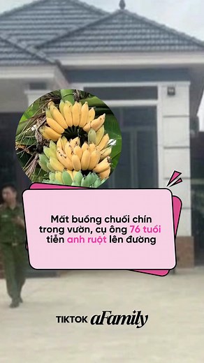 Câu chuyện buồn tình anh em