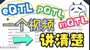 一个视频讲清楚QTL数据，不会的赶紧来学习！