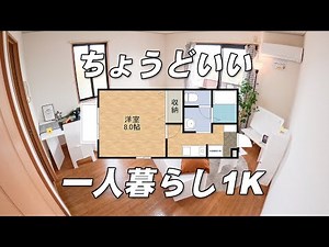 【大満足】一人暮らしにおすすめ！家賃4.6万円の1K賃貸アパート内見ルームツアー【物件紹介】