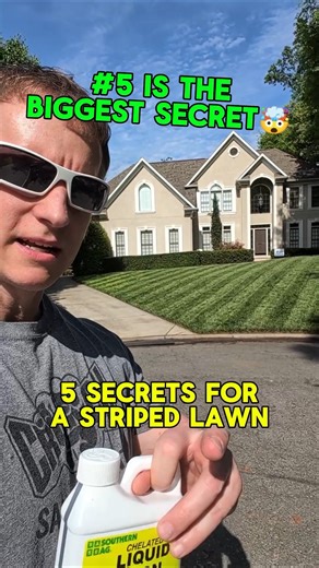 HOW TO GET A STRIPED LAWN #fescue #stripelawn #howtostripelawn #liquidiron #lawnroller #darkgrass