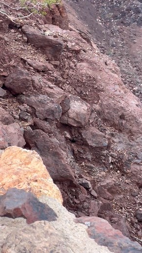 Monica Lynn Perkins on Reels | Facebook