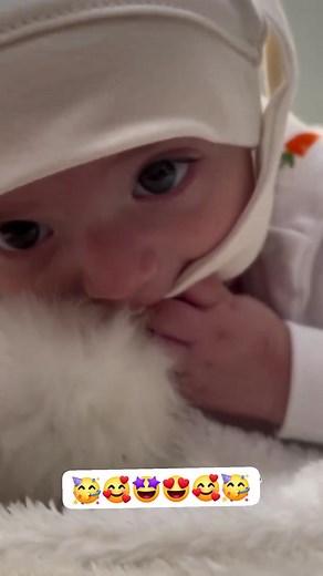 6.9K views · 261 reactions | Send it to someone who loves these little mice懶 | 횂횆홴홴횃 홱홰홱횈 | Facebook