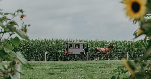 Visit Amish Country Pennsylvania - Lancaster, PA | Discover Lancaster