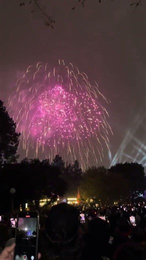 Disneyland New Years Eve Firework #newyear2026 #newyear #shorts #disneyland #fireworks