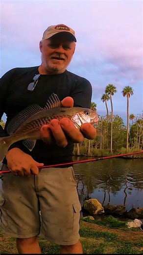 Tiny Croaker, Big Voice! #fishing #croaker #river