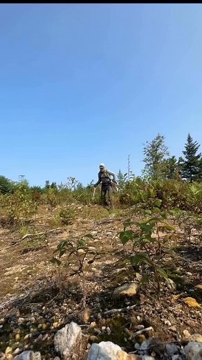 70K views · 2.8K reactions | FAQ #21 : Where do you plant trees? Answer : I mainly plant trees in Canada in the province of Québec. But I’m creating projects now to plant trees all over the world. Mainly in Africa in the next year. Follow to see where I’ll be planting next.  #trees #treeplanting #treeplanter #planttrees #plantingtrees | Antoine Moses | Facebook