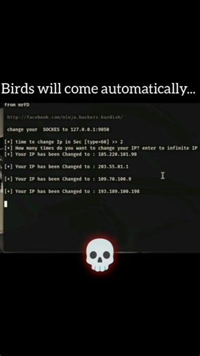 How Tor Browser Changes Your IP Address 😳 | Anonymous Internet #techshorts #torbrowser #shorts