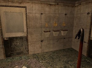 Cool Forest Walk file