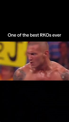 Exploring the Excitement of WWE Wrestling Fan Culture