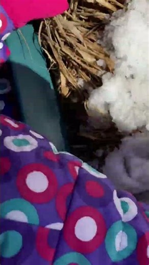 😱 Vanessa cade con la slitta!🛷 #erikaevanessarotaru #snow #shorts