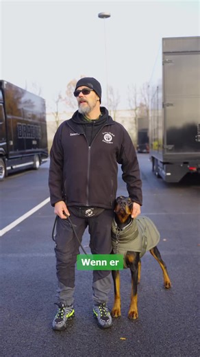 MENSCHENBEGEGNUNG !!! Wie gehe ich richtig mit meinem Hund um wenn fremde Menschen kommen . Cuki gehört nicht einem der beiden sondern ist ein Hund in meiner Ausbildung . #for #doberman #dogtraining #hund #hundeliebe