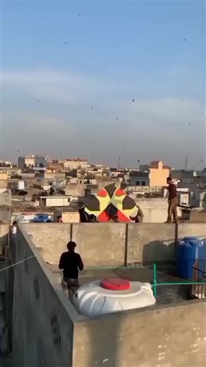 Enjoy the Art of Kite Flying: Tips and Tricks