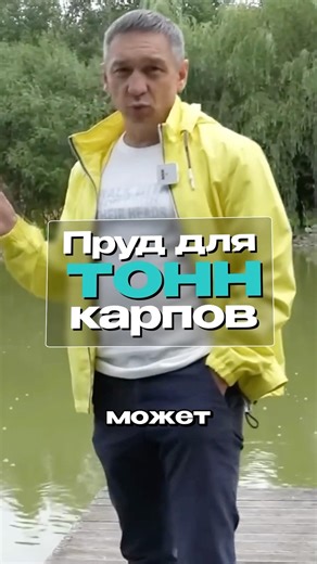 Carp pond. Tons of carp in the pond #pond #fishing #fish #carp