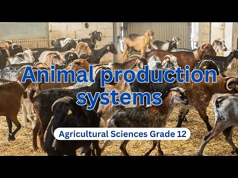 Agricultural Sciences Grade 12 | Animal Production Systems Explained! 🐑🐖🐓