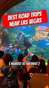 Las Vegas Road Trip Recommendations You CAN'T MISS!