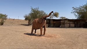 4.8K views · 85 reactions | Where in the World? Travelling in the...