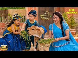 Kanha Fed the Cows with Mother Yashoda | Yashomati Maiyaa Ke Nandlala 4K #littlekrishna #1k