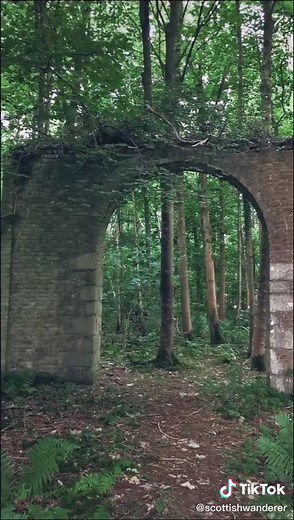 Our hike took us to some ruins in the forest #scotland #ruins #archway #forest