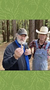 1.3M views · 30K reactions | Paul Stamets and a Puffball! Excellent example of Indigenous use verified by scientific studies well after its discovery. #Puffball #fungi #PaulStamets #pnw #mycology #science #mushroooms | Fungi Perfecti | Facebook