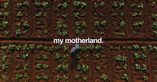 Thulakshan Kalaatharan on Instagram: "A video from the archives 😅 I made this video 2 years ago when I went back home for the first time. It was such a surreal experience going back to where my parents grew up and seeing villages filled with our people! I create videos like this all the time and just put it away. I made it because I truly loved the images and moments caught on camera while I was there! My dad took me to all the cool places and I just did my job to capture them as cinematic as p