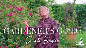 2.6K views · 43 reactions | Sarah Raven gives her gardening tips and tricks while touring her Perch Hill garden. Sarah gives advice on taking care of roses and dahlias, while also giving us her top tips on growing courgettes, tomatoes and artichokes. | Country Living Magazine | Facebook