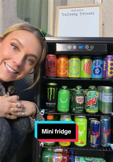 Catch the Best Mini Fridge Ideas 🎣