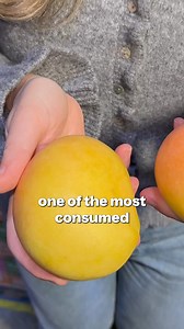 53K views · 20 reactions | 省省 MANGO SEASON IS HERE! 省省省省 We hope you’re as excited as we are because we have 5000 kilos of fresh, juicy mangoes this week!! Now is the perfect time to grab our farm fresh delicious mangoes. You’ll find these mangoes in your farmer’s pick box, along with other fresh and tasty produce! What are you waiting for? We can’t wait for you to try them! www.farmerspick.com.au | Farmers Pick | Facebook