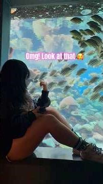 Sharks Above Us?! AQWA Perth with Teens (Unforgettable Day!) #AQWA #AQWAPerth #VisitPerth