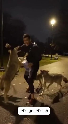 Man Attacked by Dogs on the Street - Shocking CCTV Footage