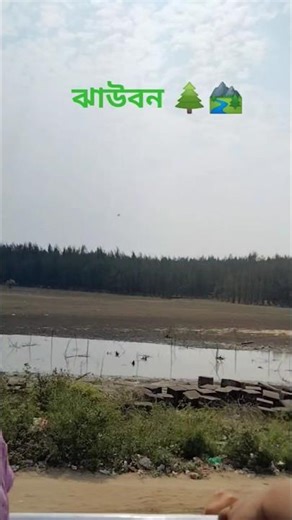 টেকনাফ ঝাউবন 🌲🏞️ #vairalvideo #coxsbazar #entertainment #love #travelling #tour