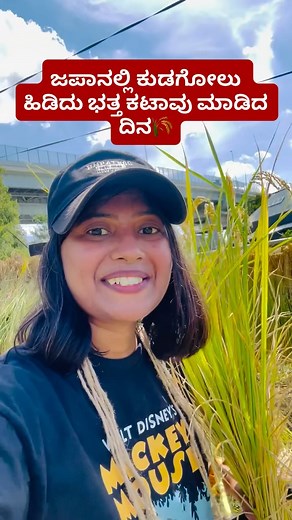 ಕನ್ನಡತಿ ಇನ್ ಜಪಾನ್😍 | ಜಪಾನಲ್ಲಿ ಭತ್ತದ ಕೊಯ್ಲು🌾ಊರ ನೆನಪು ಬಂತು❤️My first Rice harvesting experience in Japan🇯🇵 . . . [rice harvesting Japan, farmers life, love... | Instagram
