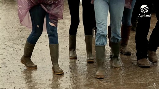Agriland Editor Stella Meehan welcomes us to day 1 of the official #Ploughing2023 livestream in association with @UPMCinIreland and @Pearsonmilkingtechnology National Ploughing Championships | Agriland.ie