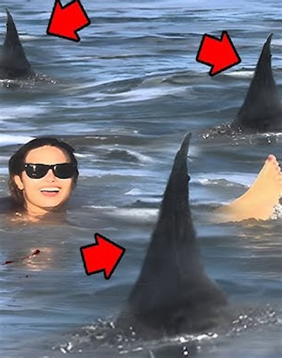 2.9K views · 47 reactions | 30 Moments Of Animals Suddenly Attacking Humans Violently Captured On Camera vs老 | Best Video | Facebook