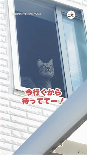 冒険好きな脱走兵によるびっくりエピソードがこちら｜PECO