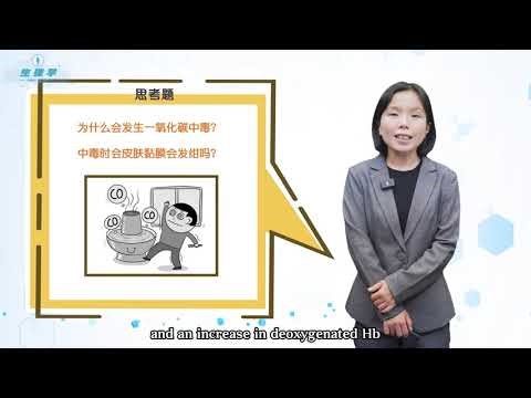 5 3 Transport of Oxygen and Carbon Dioxide