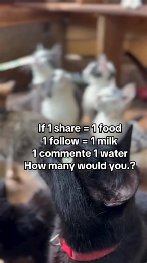 3 comments | HELP US HELP THEM As we all know, many animals are...