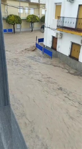 Videos de perdigon (@perdigon74) con “sonido original - perdigon”