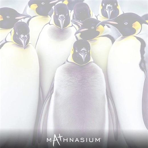 🐧❄️ Did you know emperor penguins use math when huddling for warmth? "Mover" penguins shift positions to create a cozy, geometric formation that maximizes warmth and minimizes exposure to the cold! This natural phenomenon is a perfect example of geometry in action. Follow us to explore more wonders of #MathInNature! #Mathnasium #PenguinMath #MathIsEverywhere | Mathnasium of Mesa North
