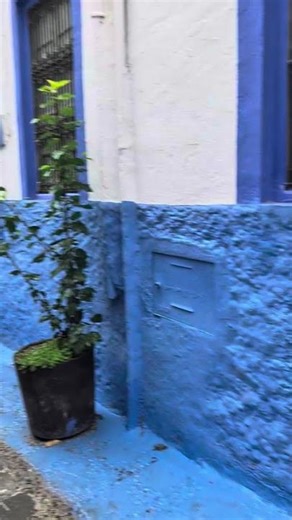 Exploring Chefchaouen, Morocco, Morocco Tour Marrakech from ANKITA V. 🇲🇦