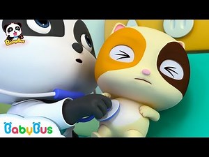 Baby Kitten's Healthy Checkups | Little Panda Doctor | Kids Role Play | Kids Song | BabyBus