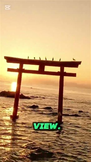 Miyajima Island #thecuriousji