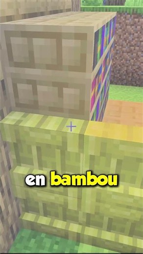A Minecraft ENCHANTED BOOK BUILD HACK! 😲